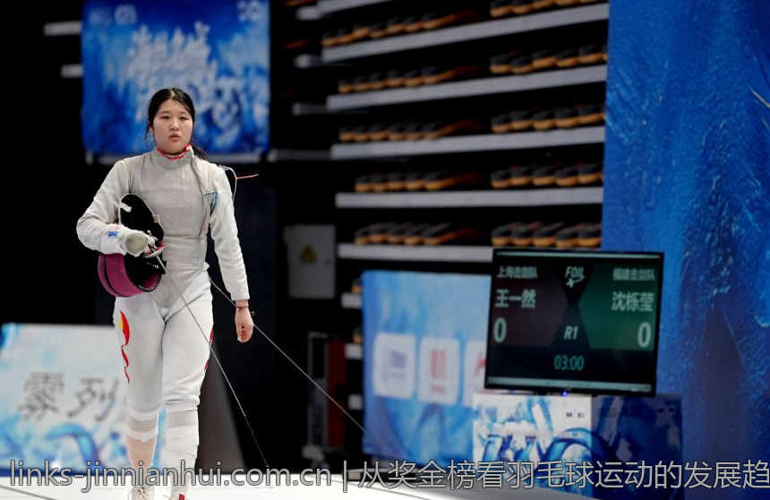 从奖金榜看羽毛球运动的发展趋势与明星表现