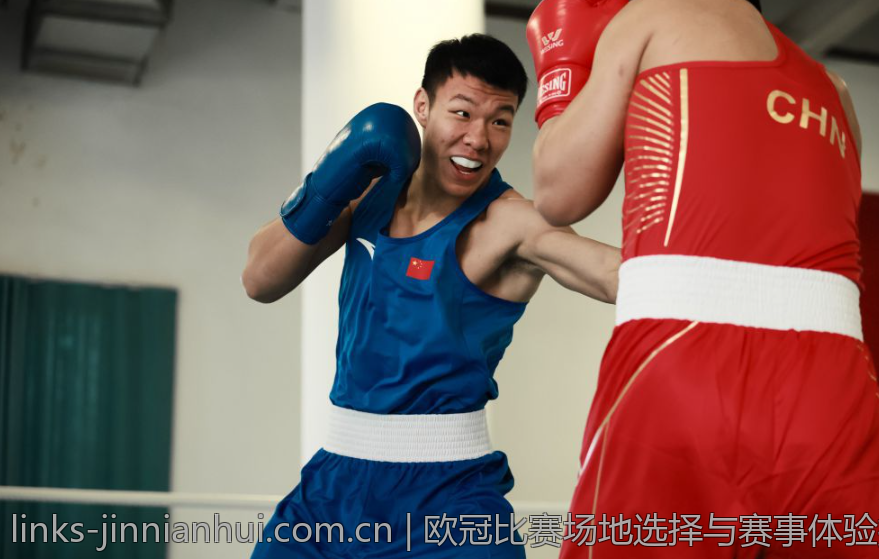 欧冠比赛场地选择与赛事体验提升