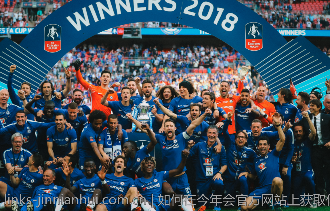 如何在今年会官方网站上获取信息